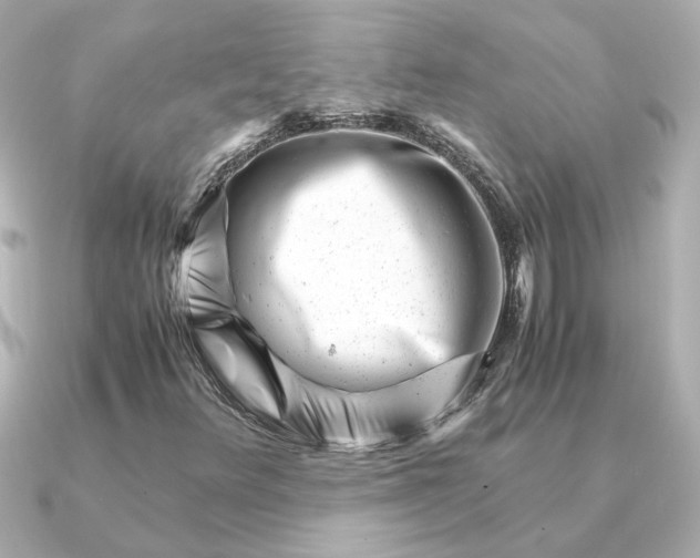 X0000090881348200708101337