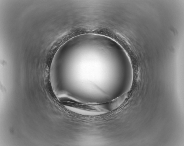 X0000090881349200708101337