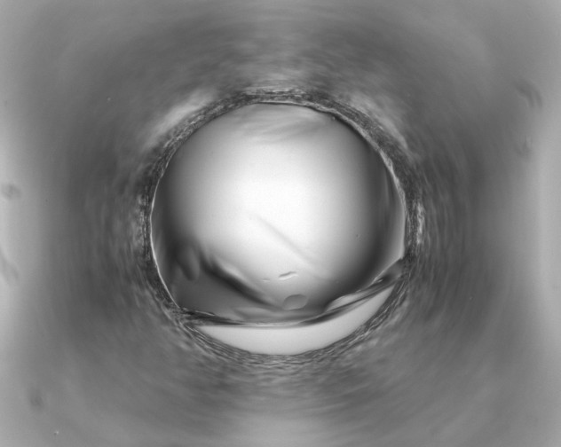 X0000090881350200708101337