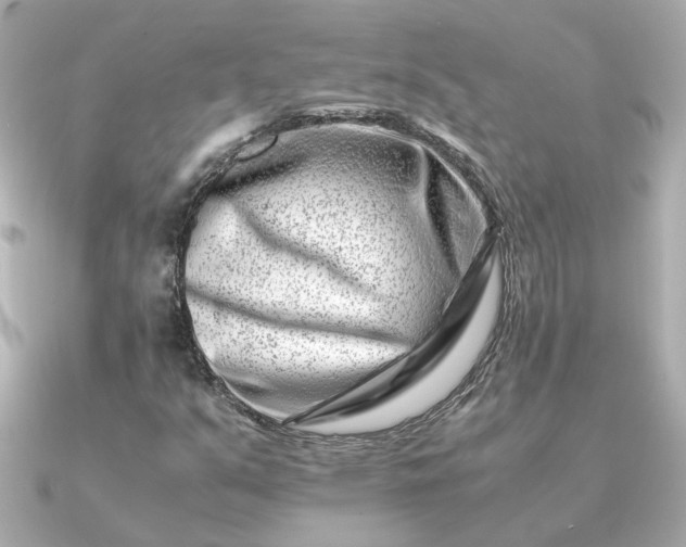 X0000090881351200708101337