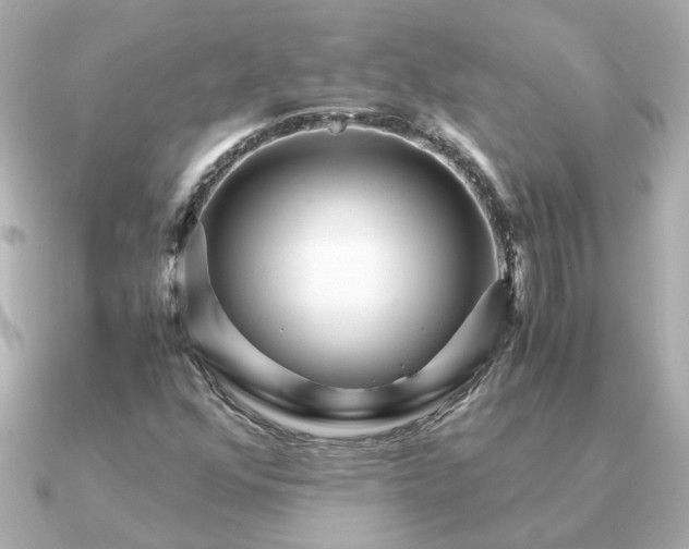 X0000090881352200708101337