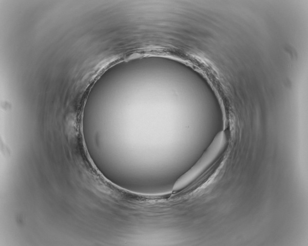 X0000090881353200708101337