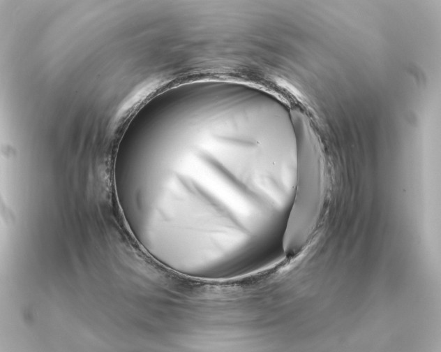 X0000090881354200708101337