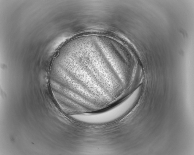 X0000090881355200708101337