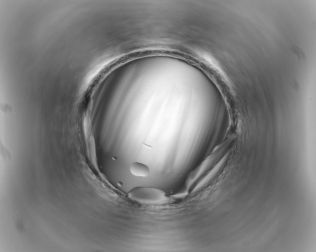 X0000090881360200708101337