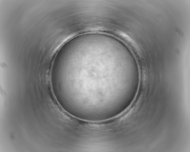 X0000090881361200708101337