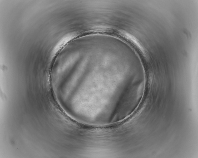 X0000090881362200708101337