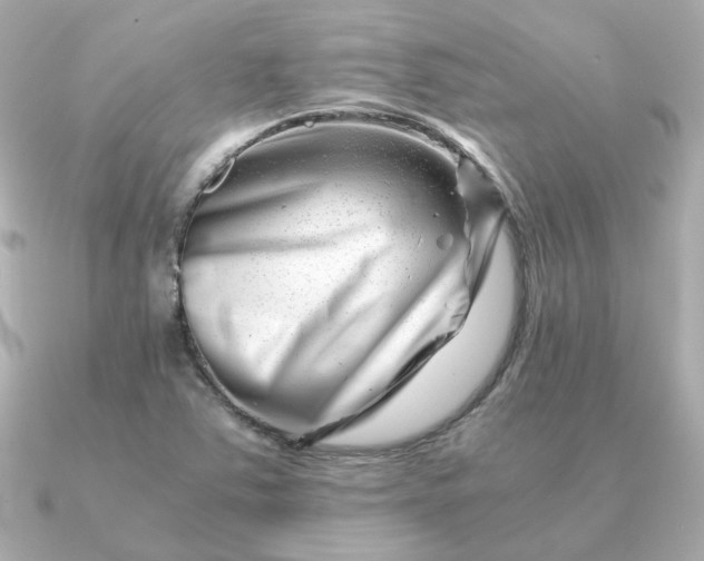 X0000090881363200708101337