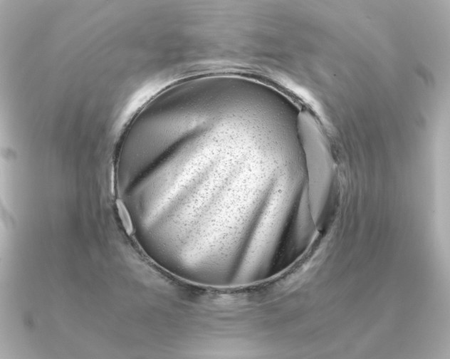 X0000090881365200708101337