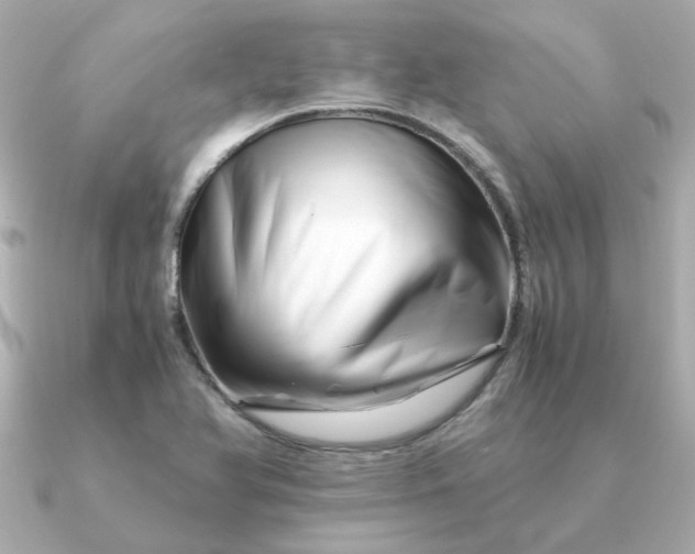 X0000090881366200708101337