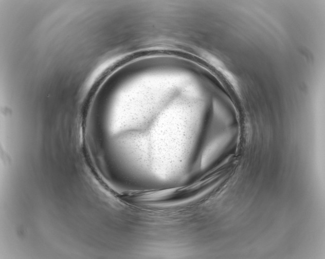 X0000090881368200708101337