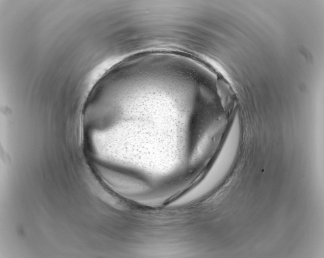 X0000090881371200708101337