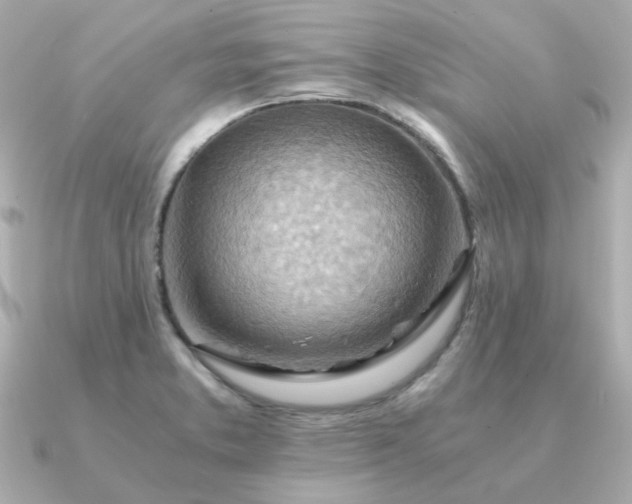 X0000090881373200708101337