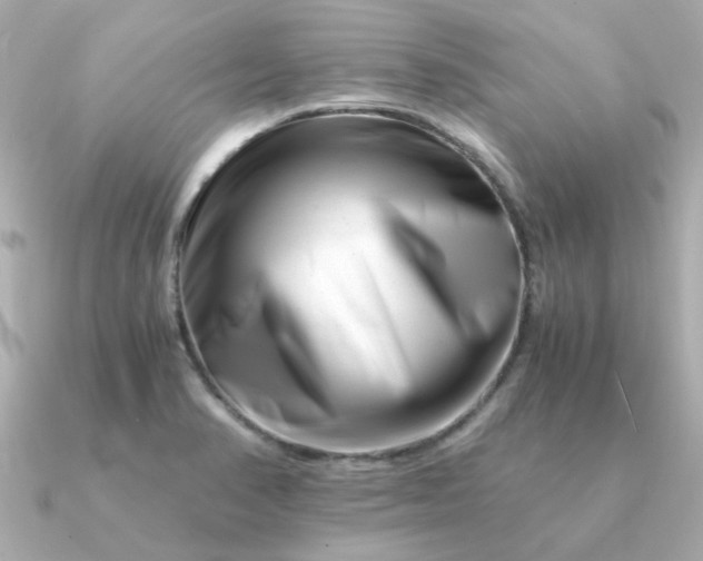 X0000090881374200708101337