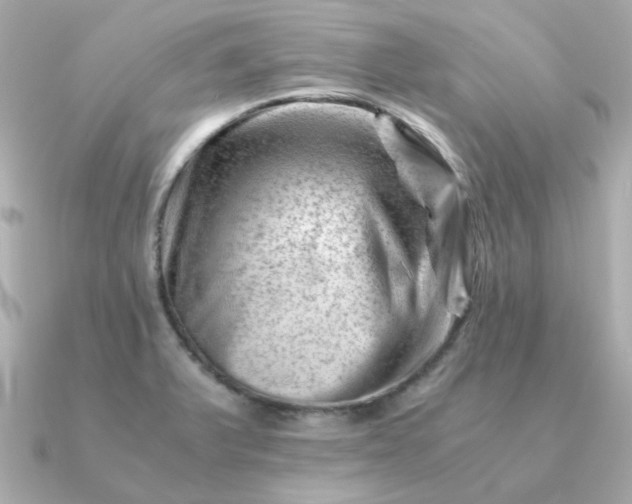 X0000090881375200708101337