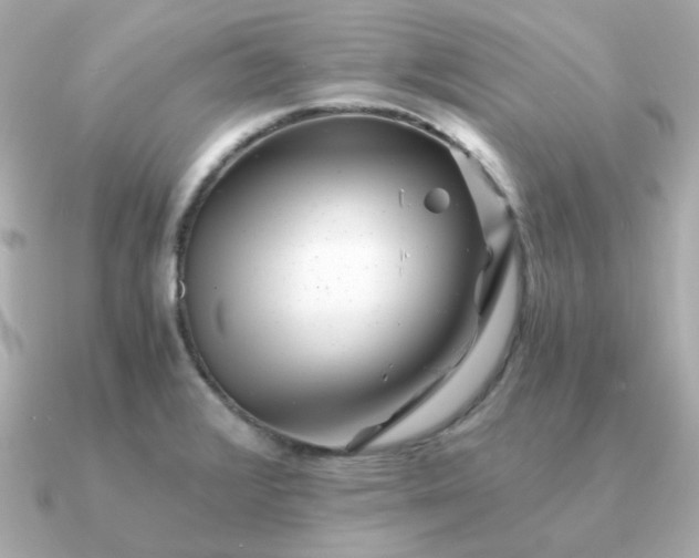 X0000090881376200708101337