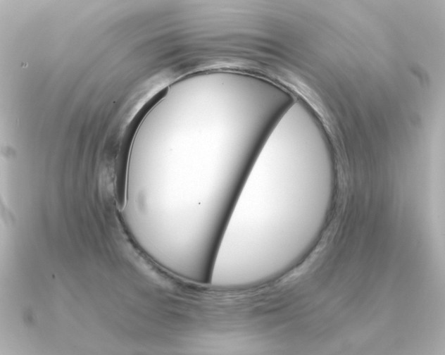 X0000090881377200708101337