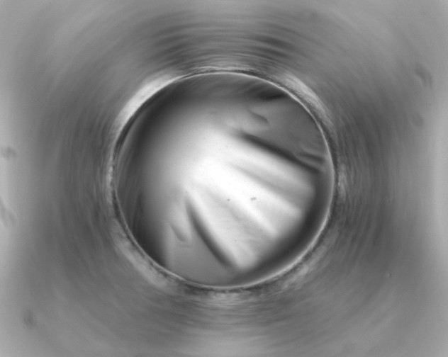 X0000090881378200708101337