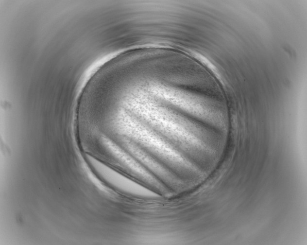 X0000090881379200708101337