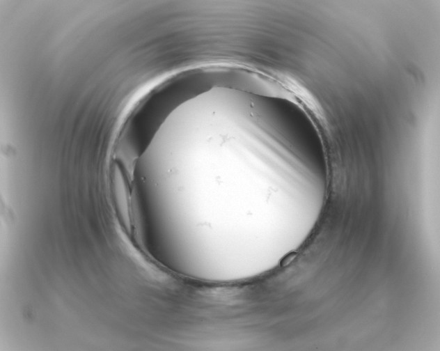 X0000090881380200708101337