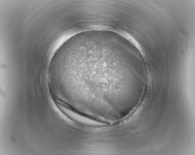 X0000090881381200708101337