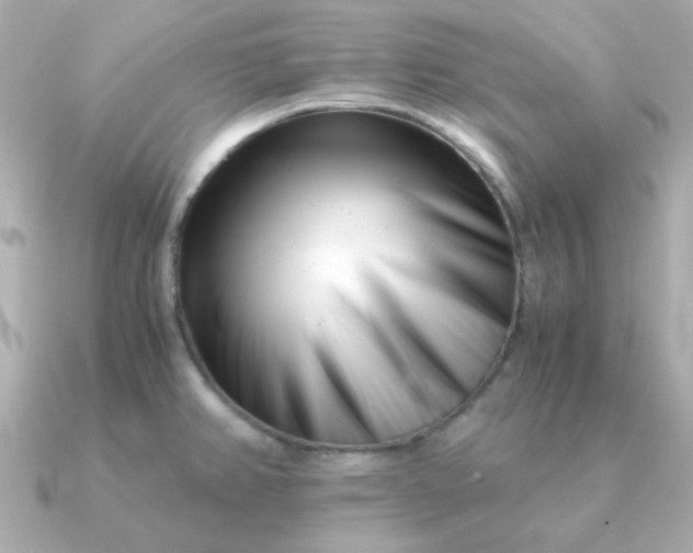 X0000090881382200708101337