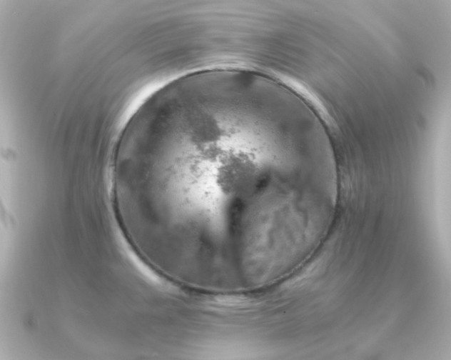 X0000090881383200708101337