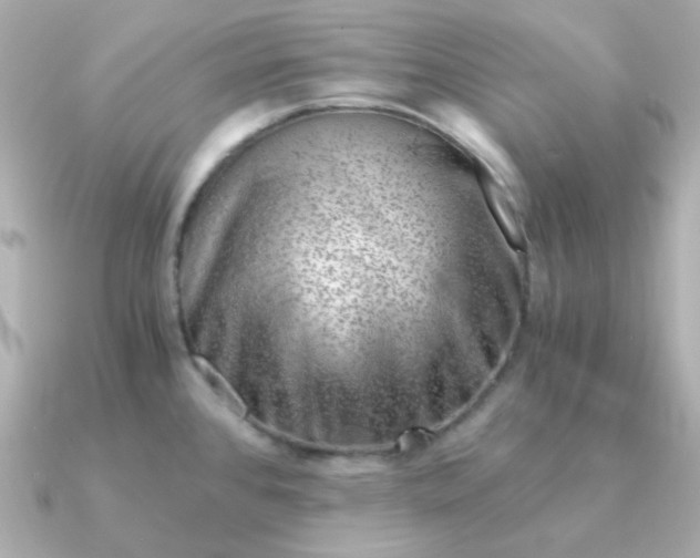 X0000090881384200708101337