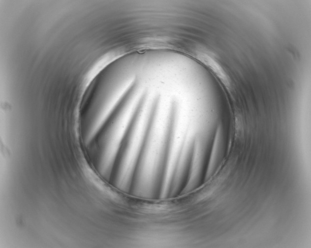 X0000090881386200708101337