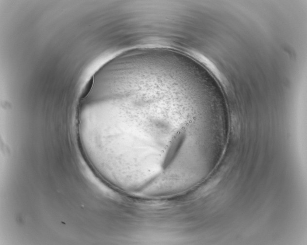 X0000090881387200708101337