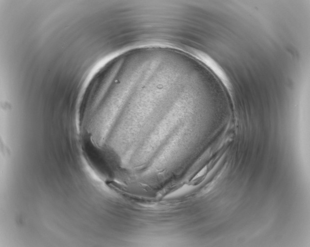 X0000090881388200708101337