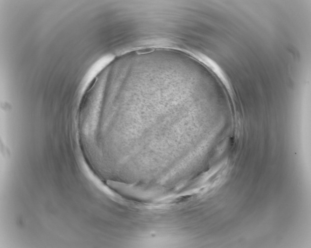 X0000090881389200708101337