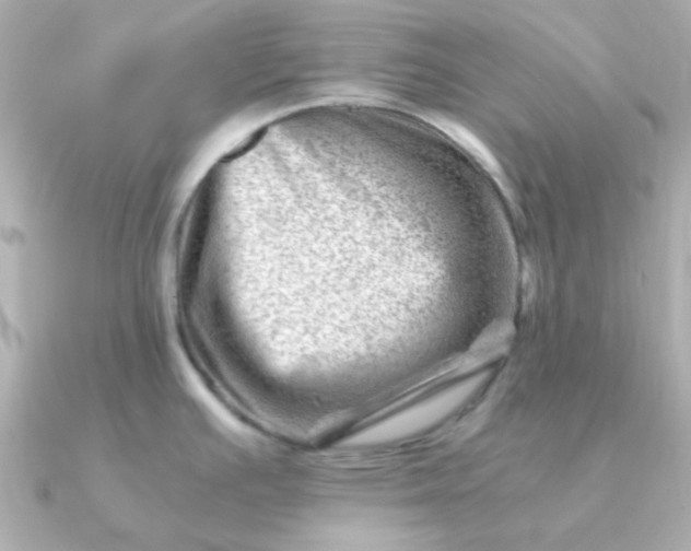 X0000090881391200708101337