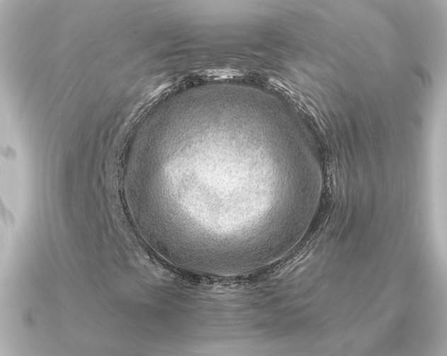 X0000090881393200708101336