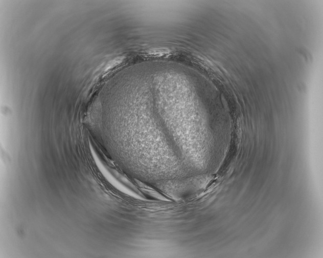 X0000090881394200708101336