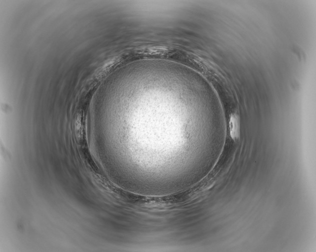 X0000090881395200708101336