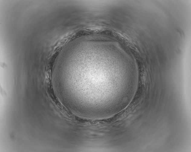 X0000090881397200708101336