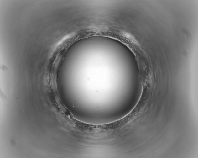 X0000090881398200708101336