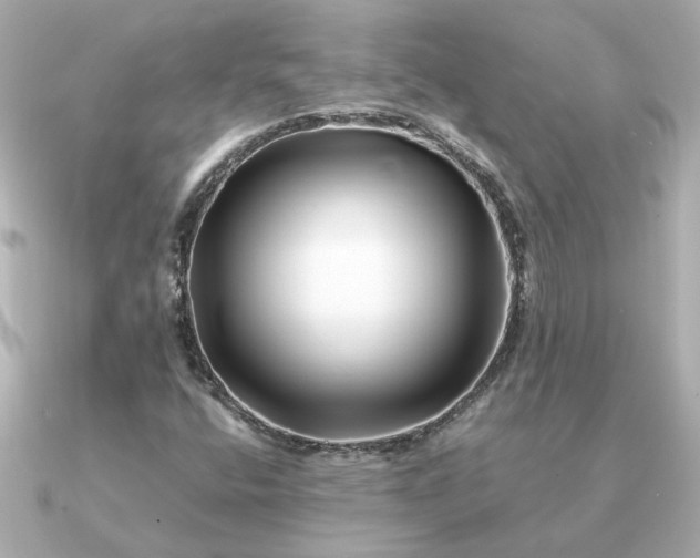 X0000090881400200708101336