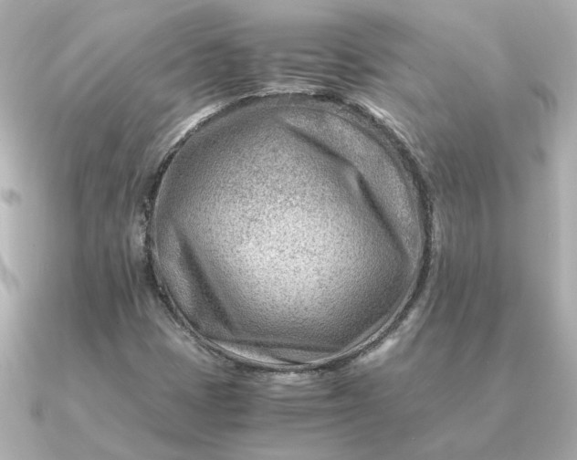 X0000090881401200708101336