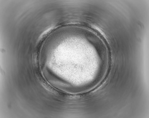 X0000090881403200708101336