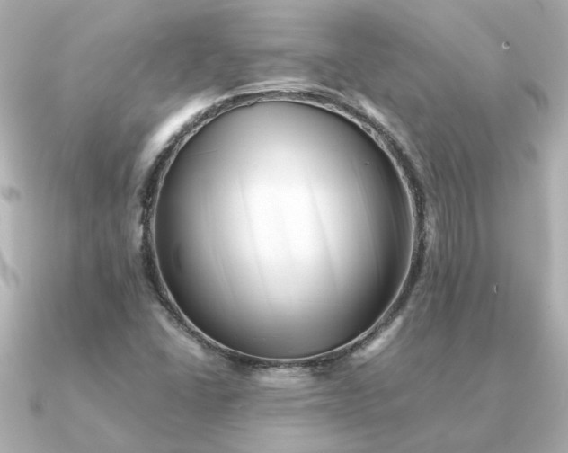 X0000090881406200708101336