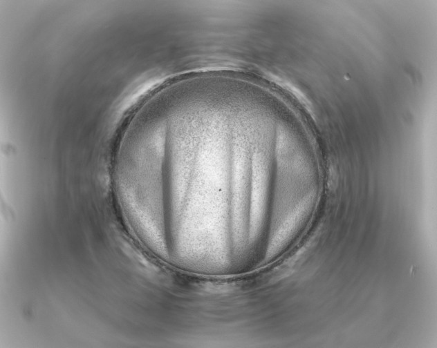 X0000090881407200708101336