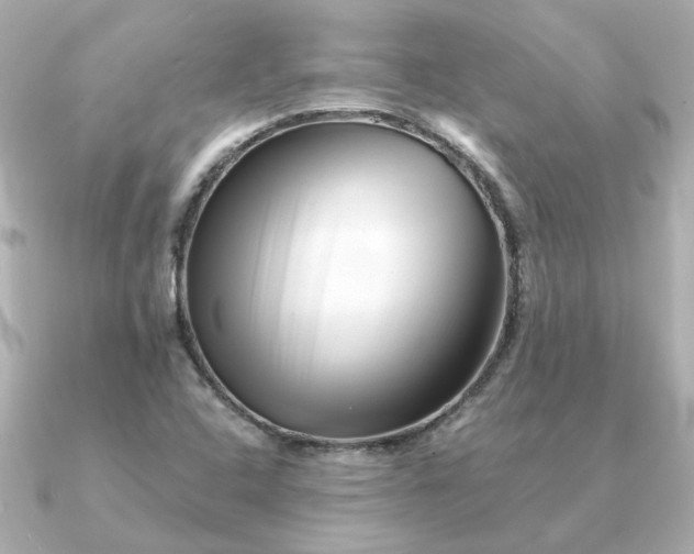 X0000090881408200708101336