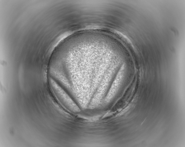 X0000090881409200708101336