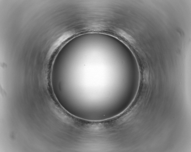 X0000090881410200708101336