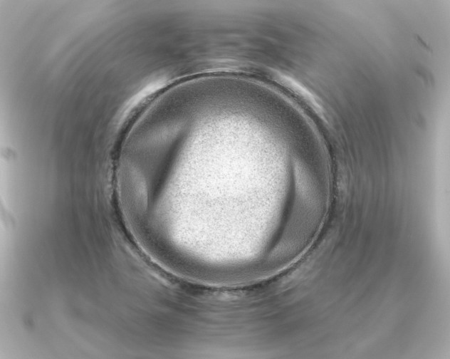 X0000090881411200708101336