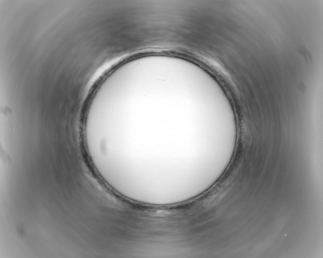 X0000090881412200708101336