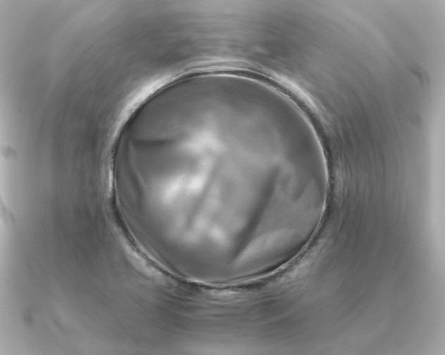 X0000090881413200708101336