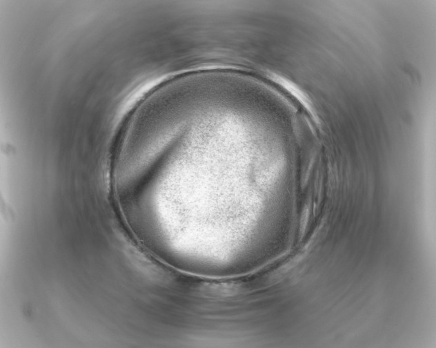 X0000090881415200708101336